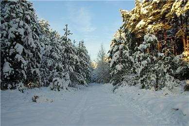 《最终幻想14》6.15版起将不支持Win7及32bit版macOS游玩